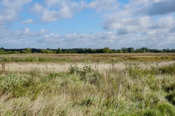 TTT-Zunasche-Heide-02