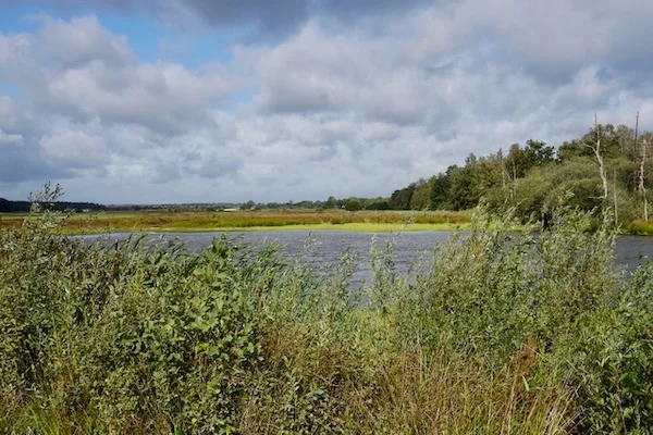 TTT-Zunasche-Heide-Pingo-Ruin-01
