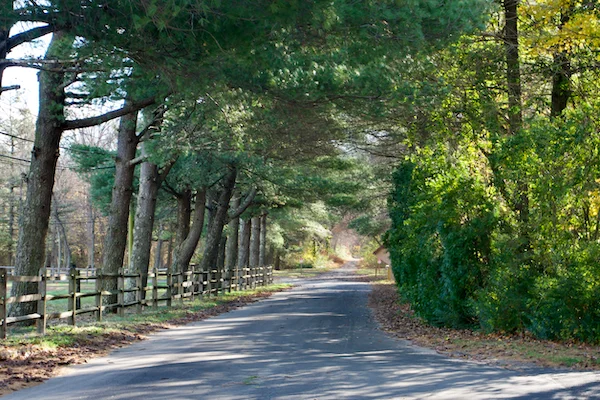 TTT-Buena-NJ-Rail-Trail-02