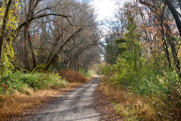 TTT-Buena-NJ-Rail-Trail-03