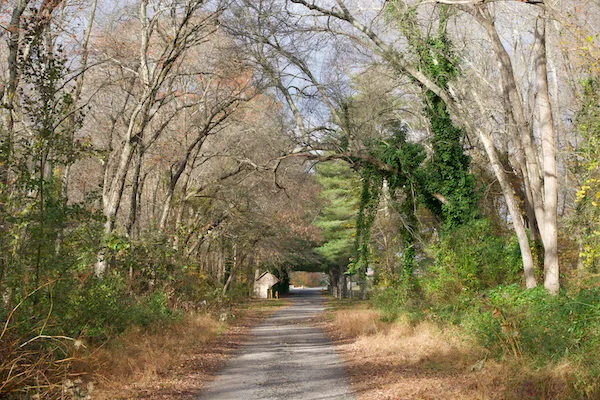 TTT-Buena-NJ-Rail-Trail-04