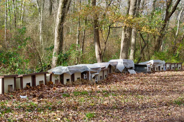 TTT-Buena-NJ-Rail-Trail-05