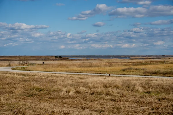 TTT-Edwin-B-Forsythe-NWR-03