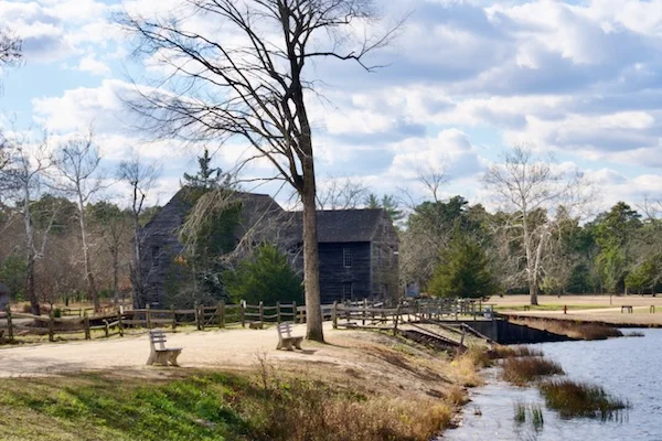 TTT-New-Jersey-Pinelands-NR-Batsto-Historic-Site-14