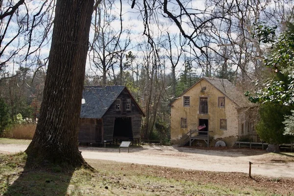 TTT-New-Jersey-Pinelands-NR-Batsto-Historic-Site-15