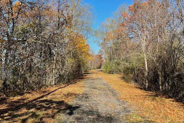 TTT-Running-Trail-Sampson-SP-03