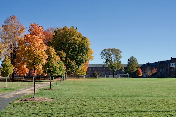 TTT-Springfield-Armory-NHS-05