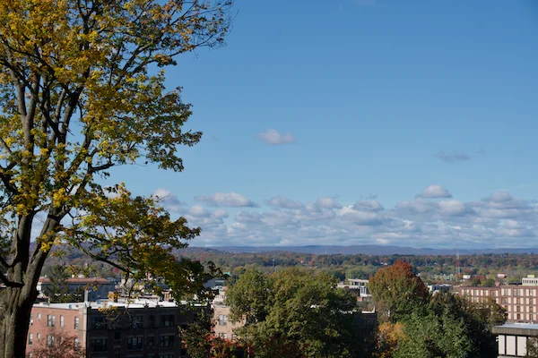 TTT-Springfield-Armory-NHS-11