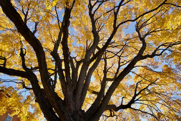 TTT-Springfield-Armory-NHS-12