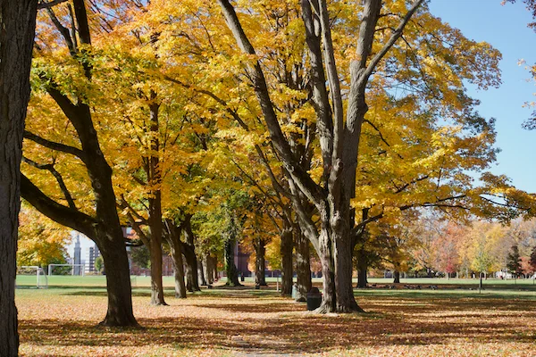 TTT-Springfield-Armory-NHS-13