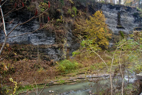 TTT-Watkins-Glen-SP-02