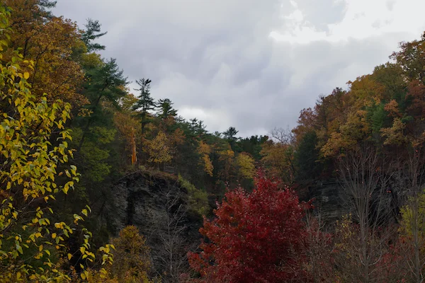 TTT-Watkins-Glen-SP-03