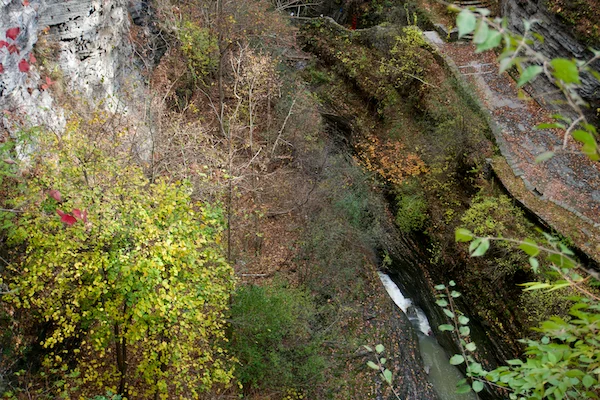 TTT-Watkins-Glen-SP-05