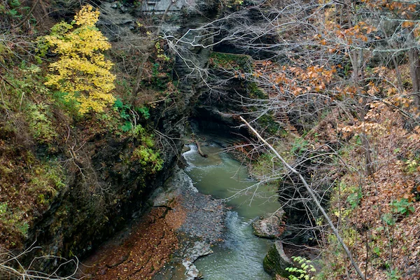 TTT-Watkins-Glen-SP-06