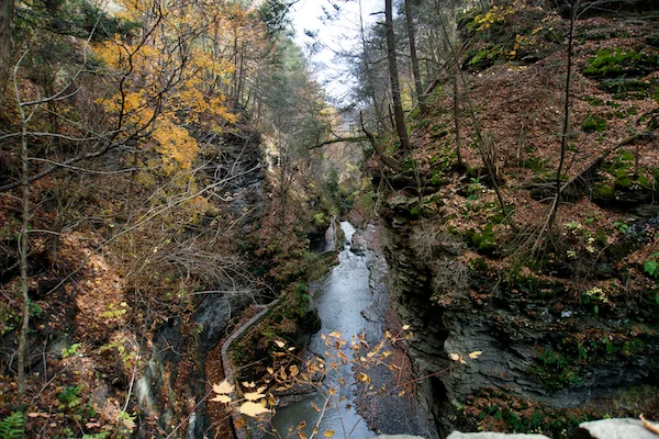 TTT-Watkins-Glen-SP-07