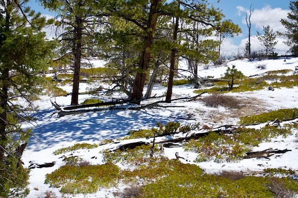 TTT-Bryce-Canyon-NP-04