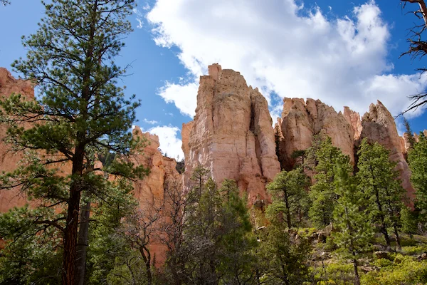 TTT-Bryce-Canyon-NP-10