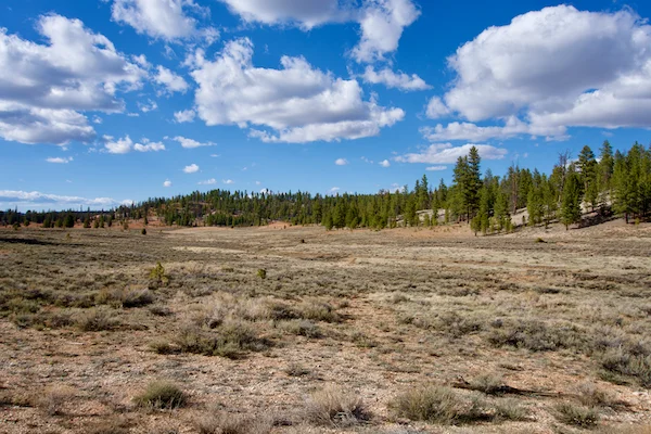 TTT-Bryce-Canyon-NP-12