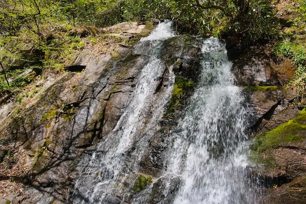 TTT-Great-Smoky-Mountains-NP-Deep-Creek-Area-01