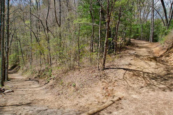 TTT-Great-Smoky-Mountains-NP-Deep-Creek-Area-02