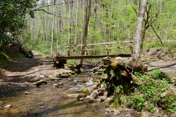 TTT-Great-Smoky-Mountains-NP-Deep-Creek-Area-03