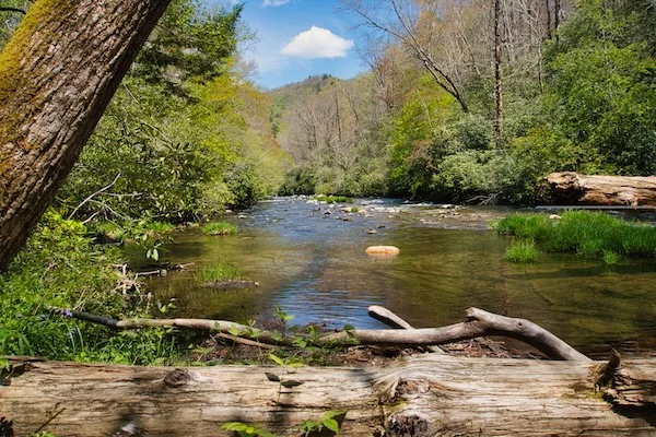 TTT-Great-Smoky-Mountains-NP-Deep-Creek-Area-04