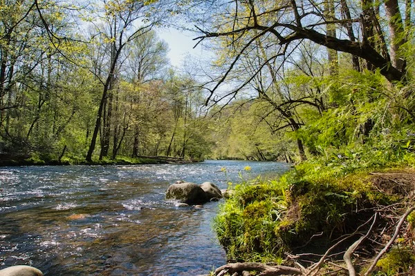 TTT-Great-Smoky-Mountains-NP-Oconaluftee-River-01