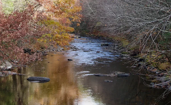TTT-Henry-David-Thoreau-Footbridge-01