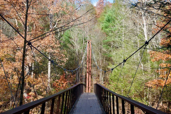 TTT-Henry-David-Thoreau-Footbridge-02