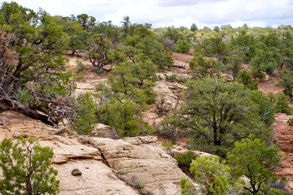 TTT-Squaw-Trail-Kanab-UT-05