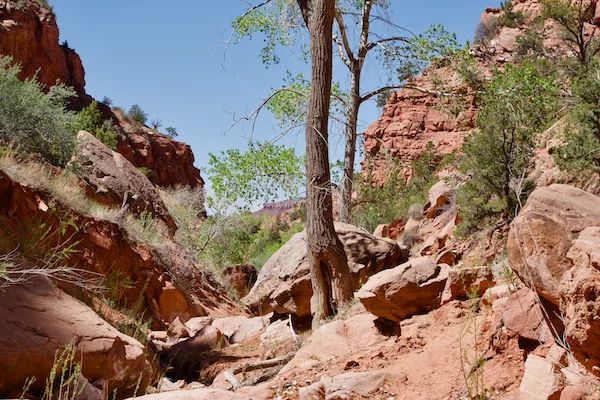 TTT-Toms-Canyon-Trail-Kanab-UT-02