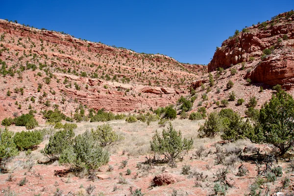 TTT-Toms-Canyon-Trail-Kanab-UT-04