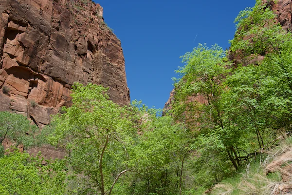 TTT-Zion-National-Park-06