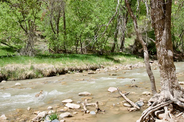 TTT-Zion-National-Park-10