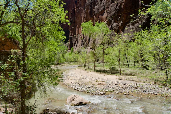 TTT-Zion-National-Park-11