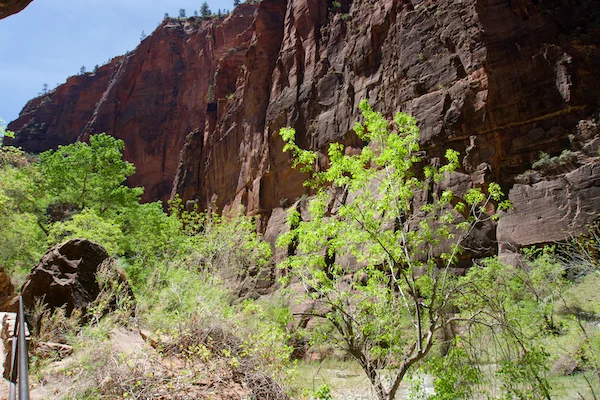 TTT-Zion-National-Park-12