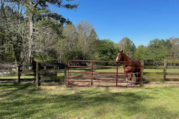 TTT-Airbnb-Covington-GA-05