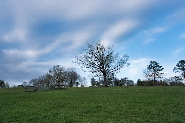 TTT-Airbnb-Greeneville-TN-01