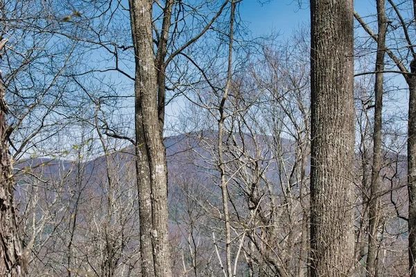 TTT-Appalachian-NST-Allen-Gap-02