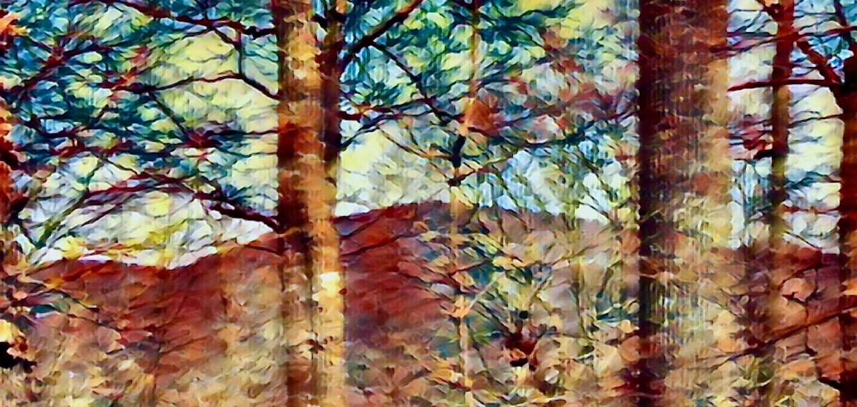 Hiking the Appalachian Trail to Siler Bald Summit