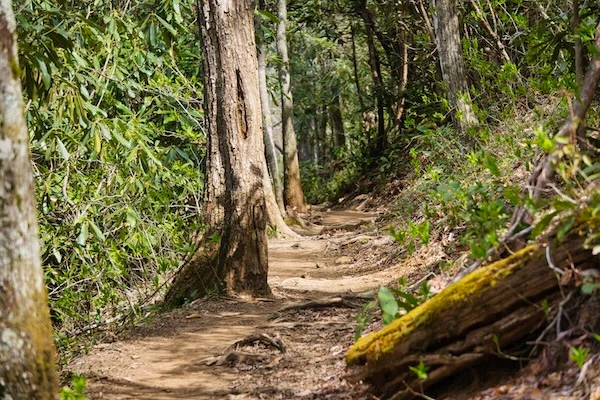 TTT-Appalachian-Trail-Siler-Bald-NC-01