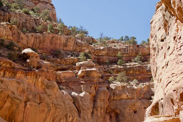 TTT-Capitol-Reef-Capitol Gorge-Trail-01