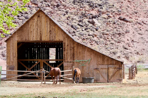 TTT-Capitol-Reef-Gifford-Homestead-01