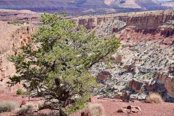 TTT-Capitol-Reef-Sun-Set-Point-02