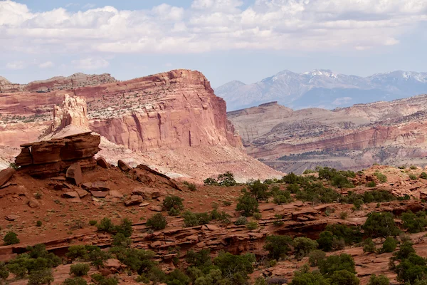 TTT-Capitol-Reef-Viewpoint-01