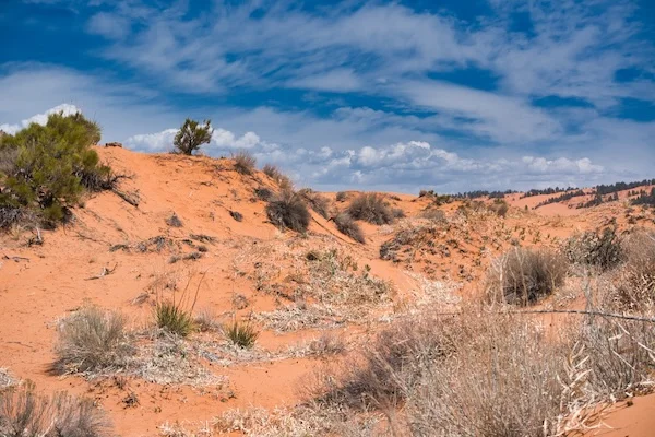 TTT-Coral-Pink-Sand-Dunes-SP-01