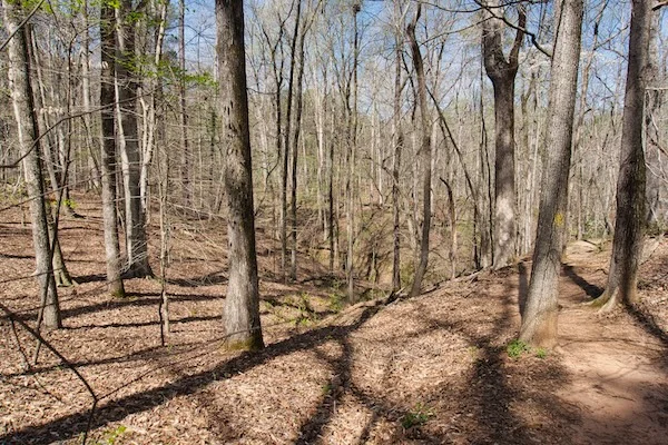 TTT-Hard-Labor-Creek-SP-01