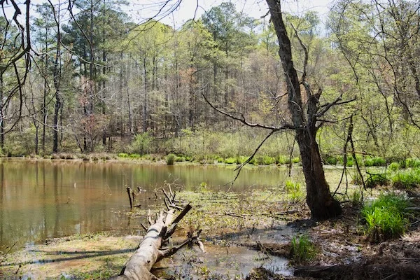 TTT-Hard-Labor-Creek-SP-02