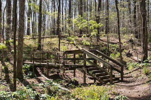 TTT-Hard-Labor-Creek-SP-03