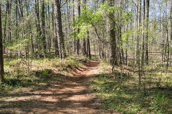 TTT-Hard-Labor-Creek-SP-05